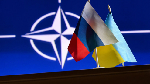 Мнения стран НАТО по действиям против России разошлись