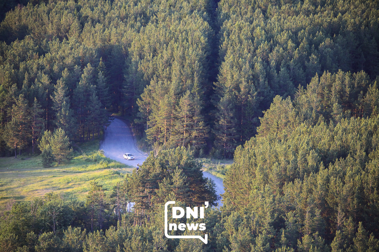 В Первоуральске медведи вышли в город